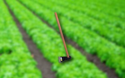 Enxadão Cavador: A ferramenta essencial para agricultores e jardineiros