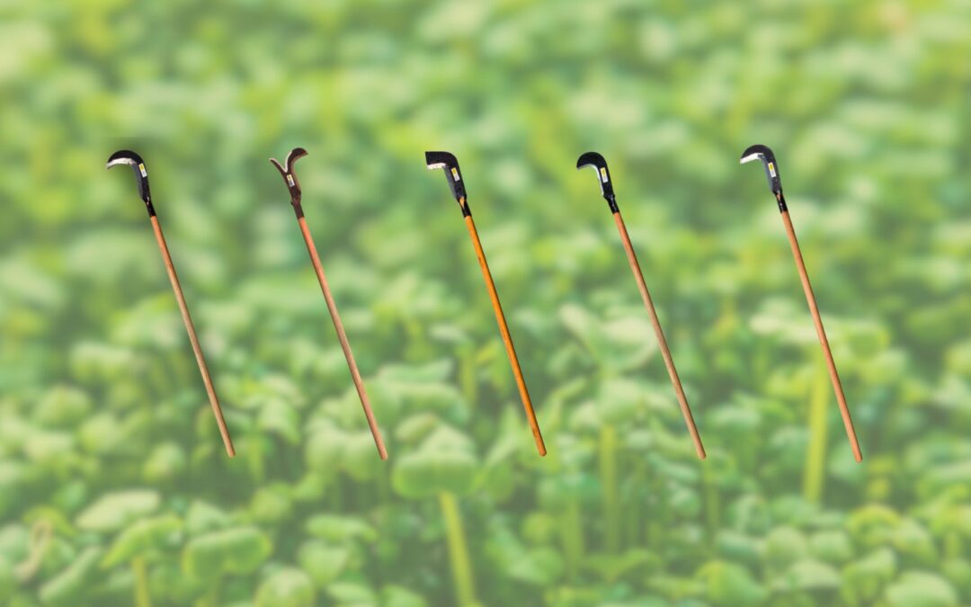 lâminas de foices, foices, tarza, ferramentas forjadas, agricultura