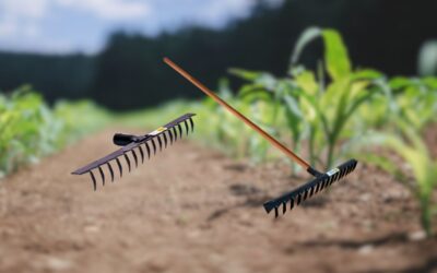 Ancinho: Escolha e utilização dessa ferramenta ideal para o seu jardim