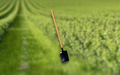 Pá Cortadeira Vanga: Trabalhos de corte e movimentação de terra