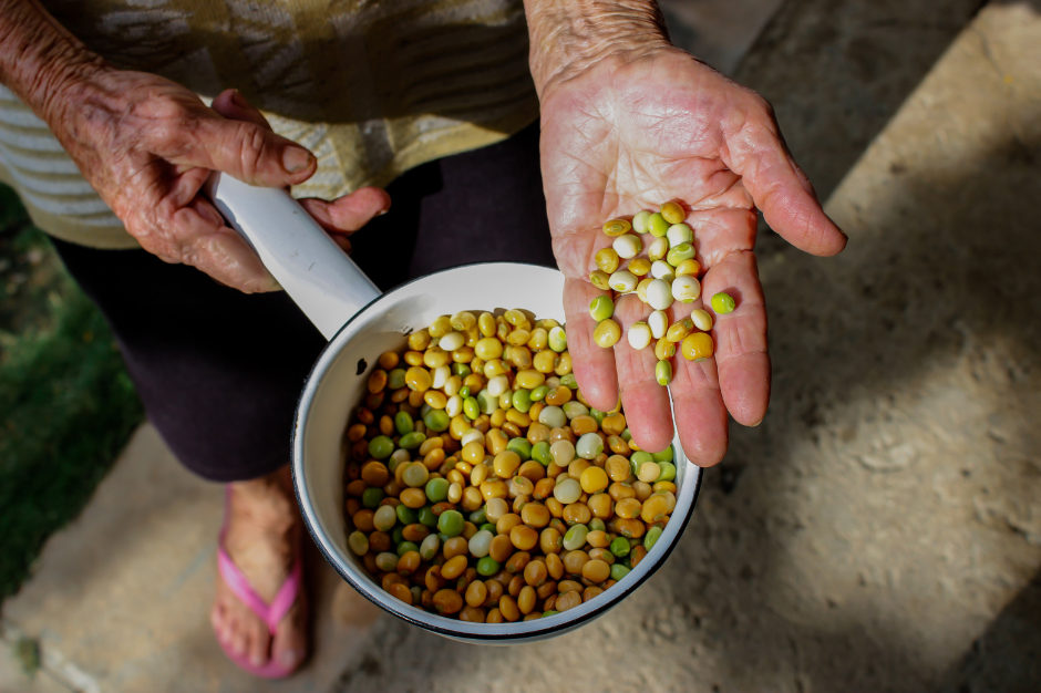 Cavadeira-Feijão: Memórias da Agricultura Familiar