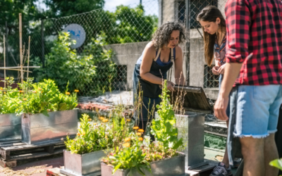 Agricultura Urbana: O Cultivo de Alimentos em Ambientes Urbanos