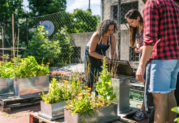 Agricultura Urbana: O Cultivo de Alimentos em Ambientes Urbanos