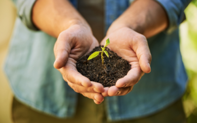 Agricultura Sustentável: Práticas Agrícolas que Visam a Preservação dos Recursos Naturais