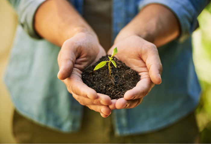 Agricultura Sustentável: Práticas Agrícolas que Visam a Preservação dos Recursos Naturais