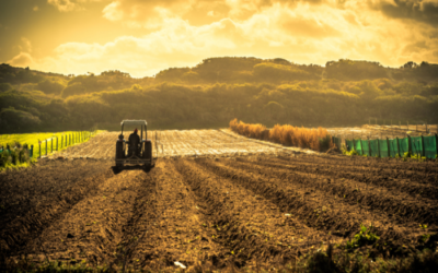 Fronteira Agrícola do Brasil: Saiba Mais Sobre