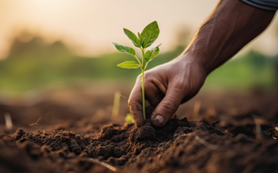 Agroecologia: Produção Agrícola em Conjunto com a Conservação Ambiental